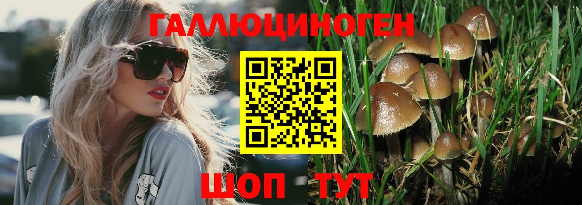 Галлюциногенные грибы GOLDEN TEACHER  Вход с VPN  Егорьевск 